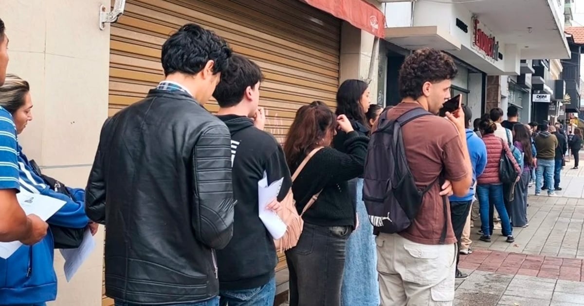 La inserción laboral plena de los jóvenes sigue siendo minoritaria y está marcada por el origen familiar