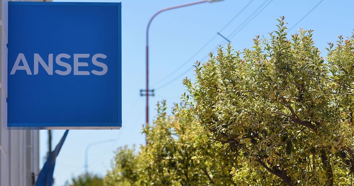 Jubilaciones y seguro de desempleo: ANSES completa agosto con los DNI terminados en 8 y 9