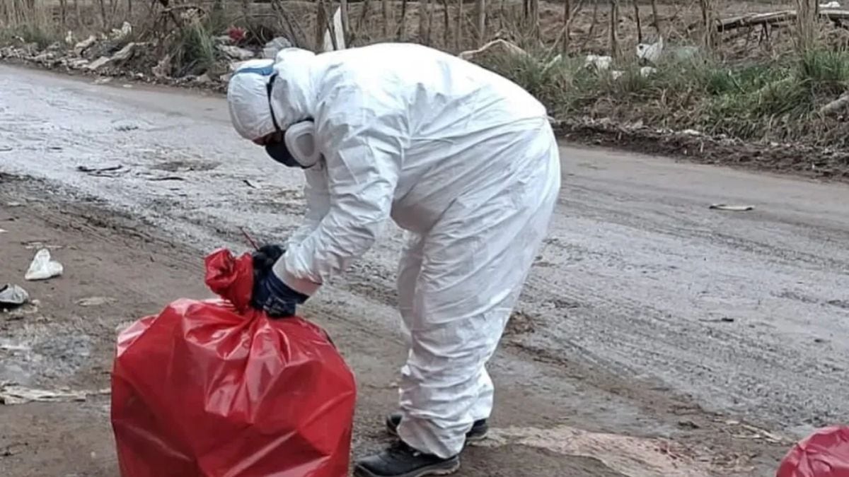 Cien kilos de carne podrida abandonadas en Valentina Sur y un operativo que nadie esperaba