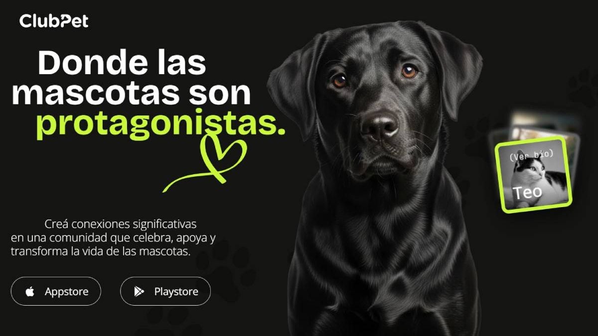 Una noche en el Club Pacífico para abrirle la puerta a un perro o un gato que espera familia