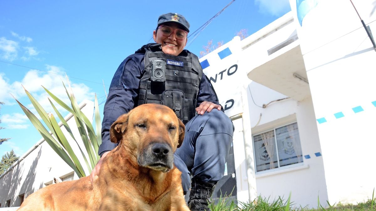 Puchero, el perro que hace guardia en la bici: doce años de patrullar Neuquén junto a los agentes
