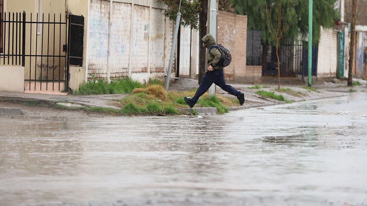 Neuquén se prepara para una jornada blanca: la nieve vuelve a instalarse en la cordillera y la meseta