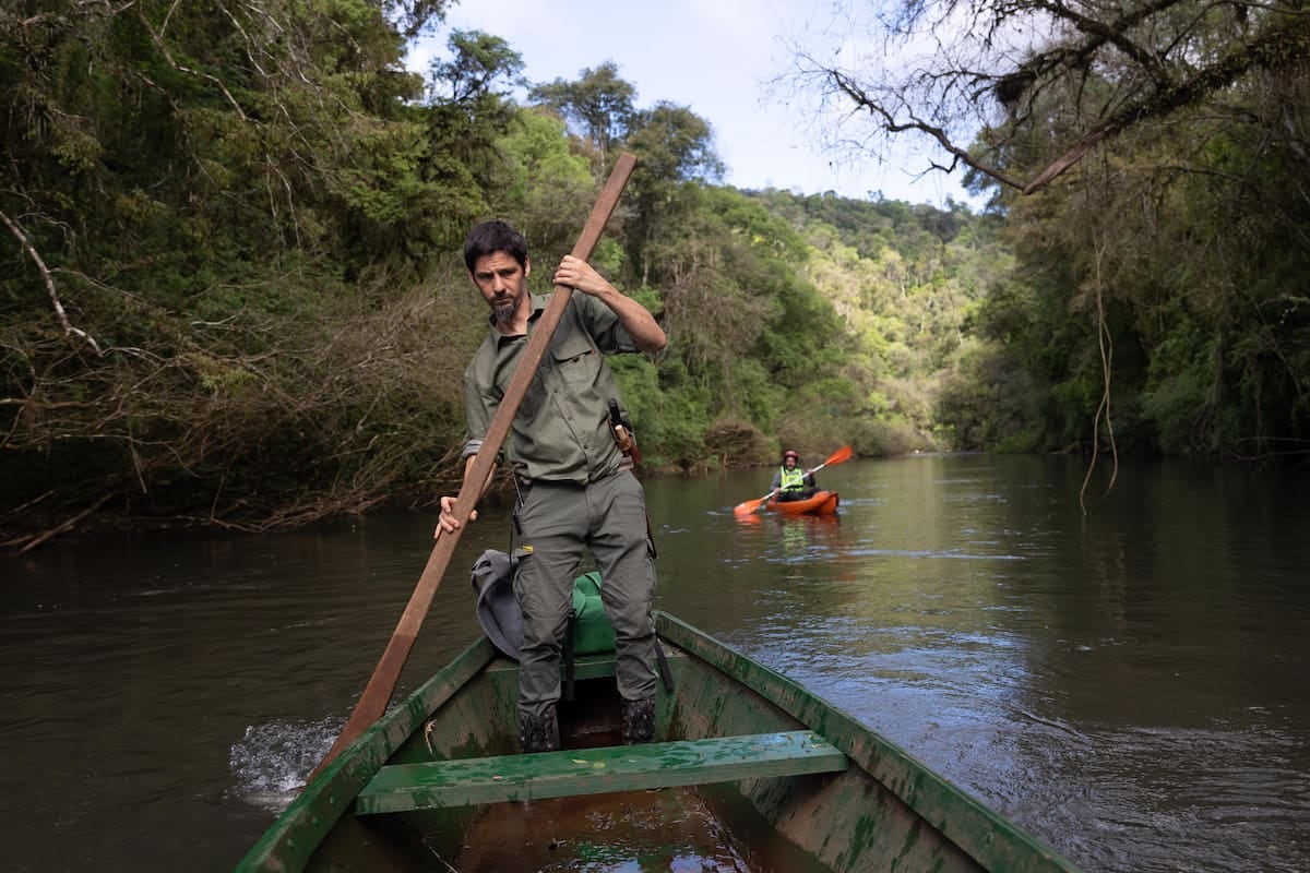 Margay, la reserva misionera donde el arroyo marca el pulso de la selva