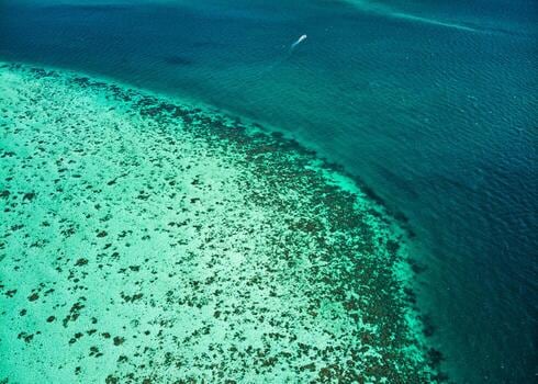 Belice, a 15 minutos de vuelo: cómo llegar a San Pedro y qué hacer en el Cayo Ambergris