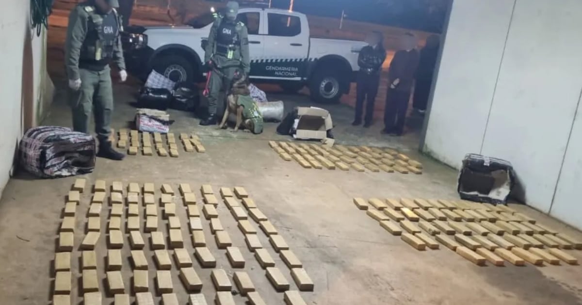 Secuestran más de 142 kilos de marihuana en un colectivo de larga distancia que iba de Iguazú a Buenos Aires
