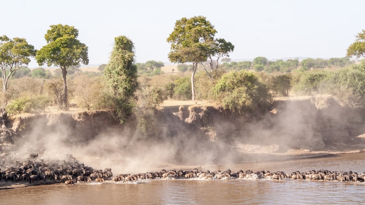 Tanzania en tres actos: baobabs, llanuras y un cráter habitado por 25.000 animales