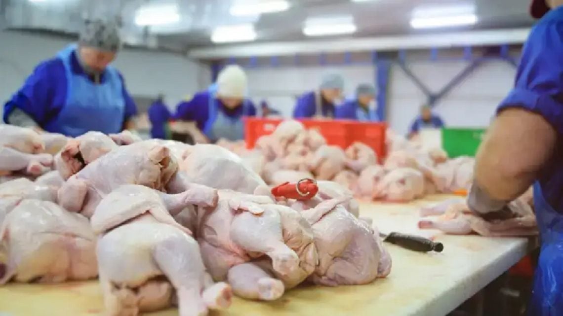 Por primera vez, el pollo se impuso a la carne vacuna en la mesa de los argentinos