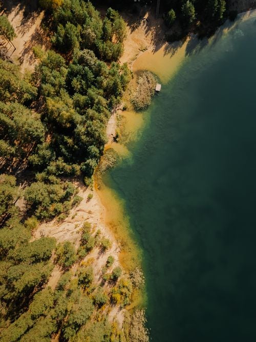 La capillita del lago Lácar: cómo llegar a un tesoro escondido entre coihues y arrayanes