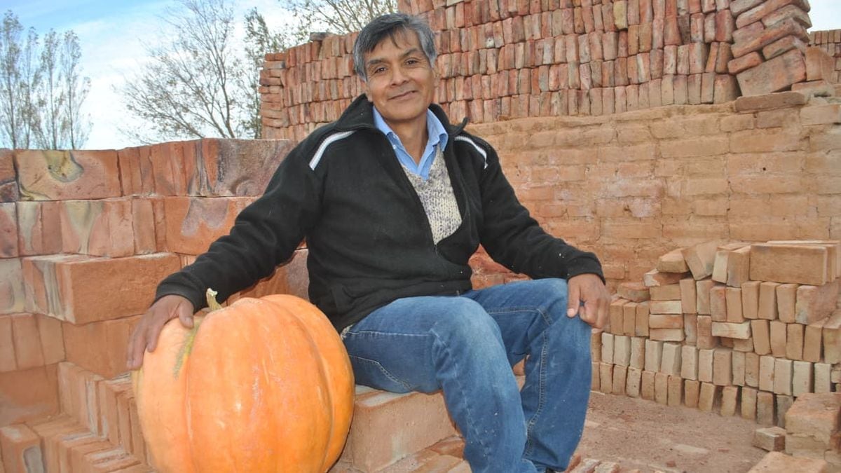 Mariano Moreno vuelve a apostar al zapallo gigante y abre la inscripción para sembrar con semillas que entrega el municipio