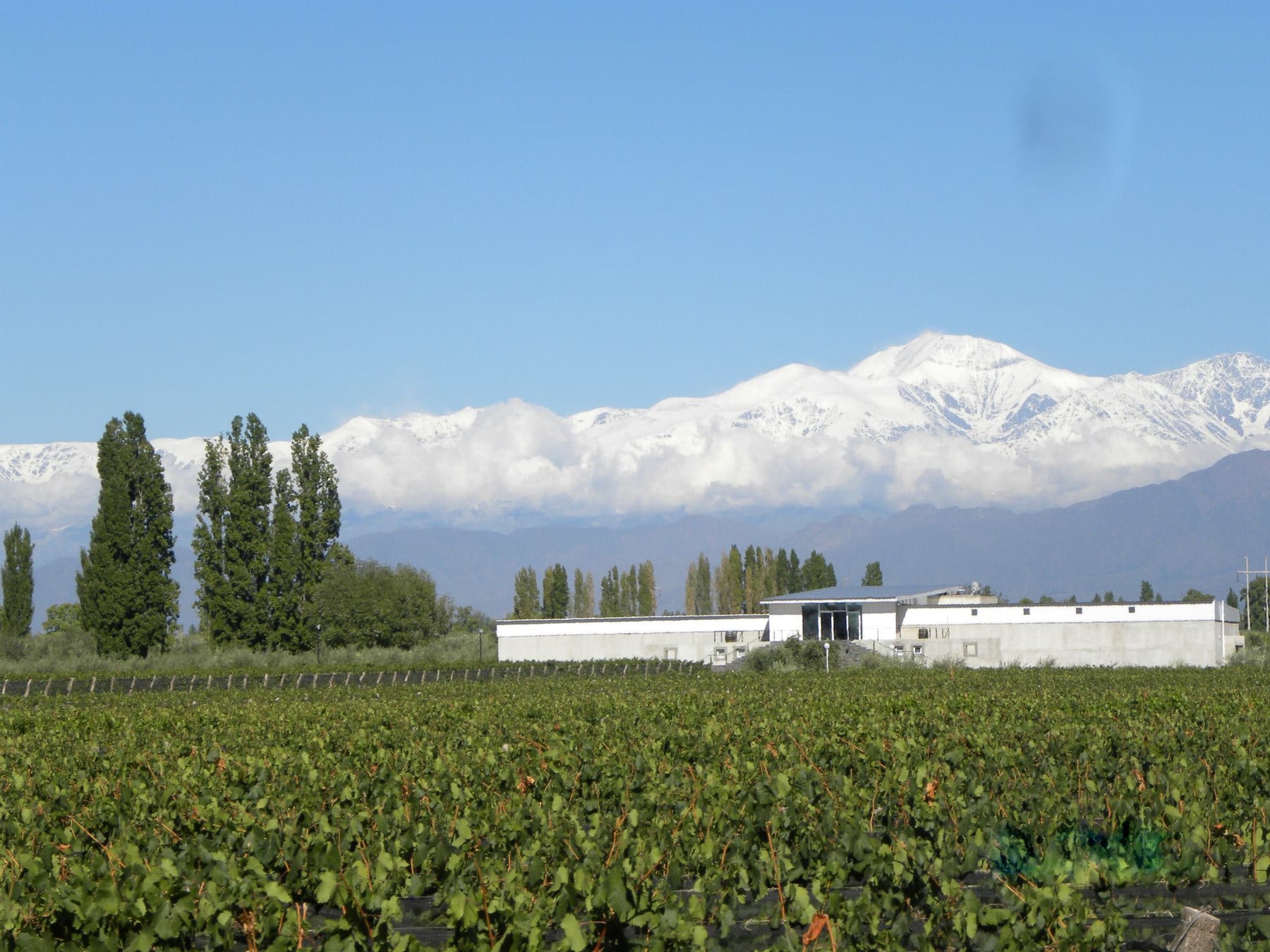 Chacras de Coria se consolida como un destino autónomo: hotelería boutique, gastronomía de autor y fiestas electrónicas reconfiguran la oferta del piedemonte mendocino