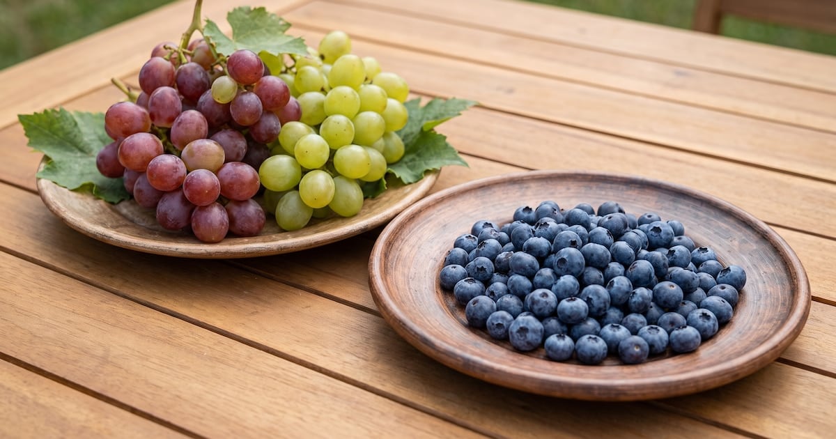 Arándanos o uvas: dos frutas, dos velocidades para el azúcar en sangre