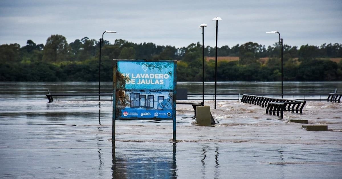 El río que crece y la mesa que se recalcula: cómo El Niño reconfigura los precios de fin de año