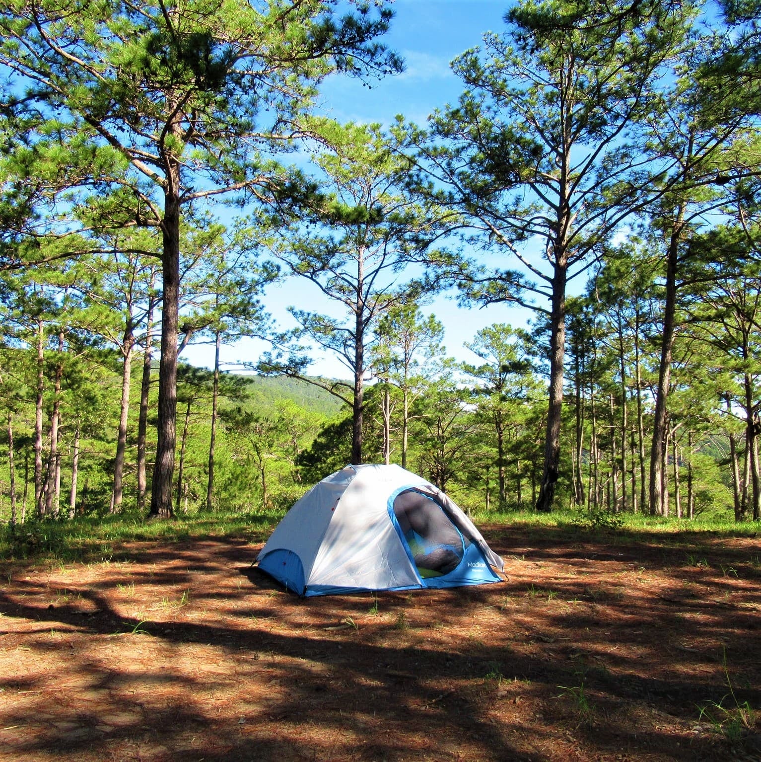Una cadena francesa de campings se instala en las 55 hectáreas de pinos de Mar Azul y promete pernoctar en el bosque sin señal de celular